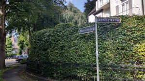 panneaux de rue Abteistraße, Nonnenstieg à Hambourg Harvesterhude