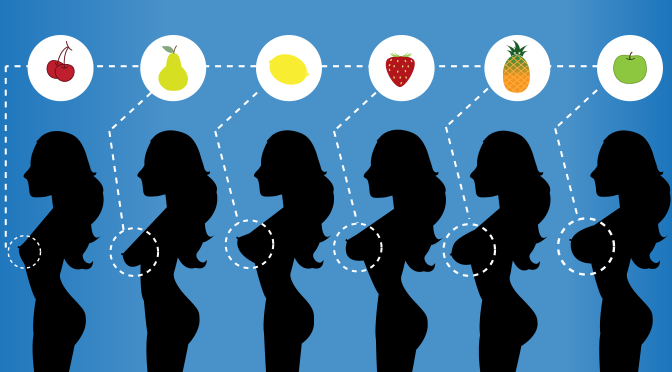 Woman breast size - fruit analogies